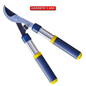 Coupe-branches.  Outil à main de jardin.